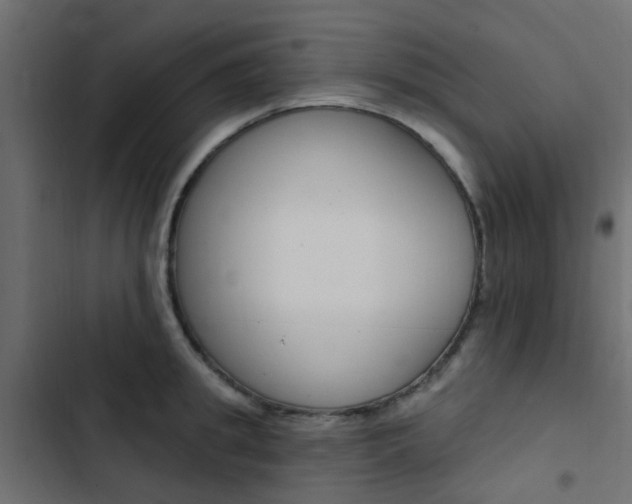 X0000103910949200809191116