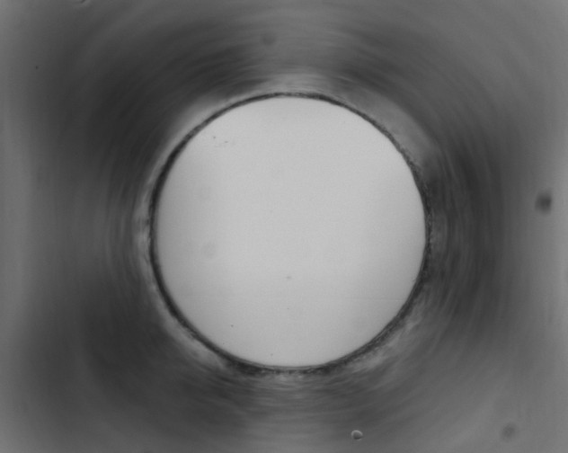 X0000103910950200809191116