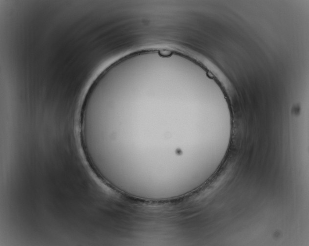 X0000103910951200809191116