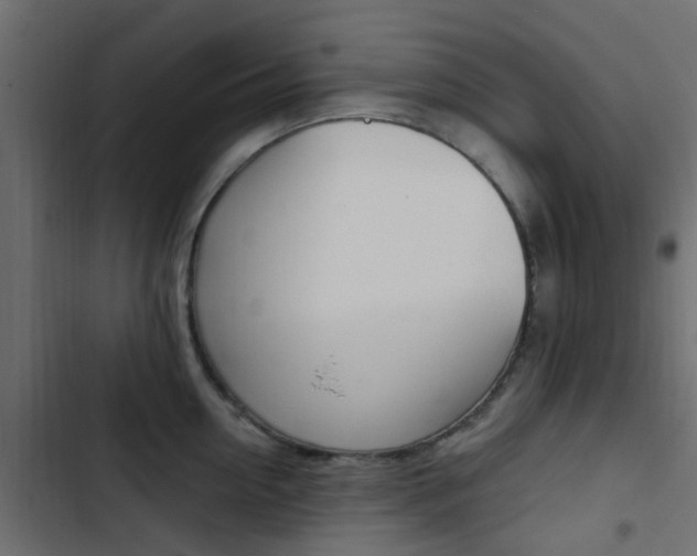 X0000103910954200809191116