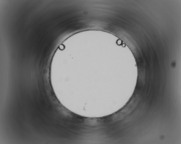 X0000103910956200809191116