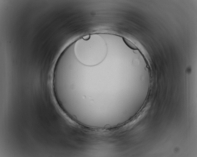 X0000103910957200809191116
