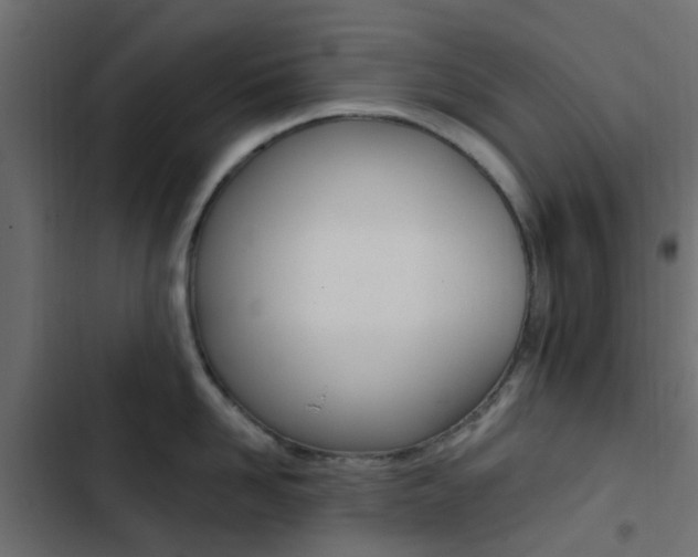 X0000103910958200809191116