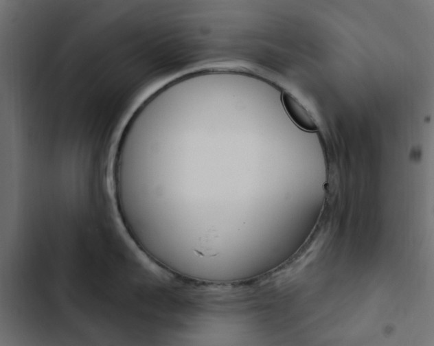 X0000103910959200809191116