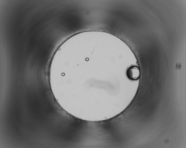 X0000103910960200809191116