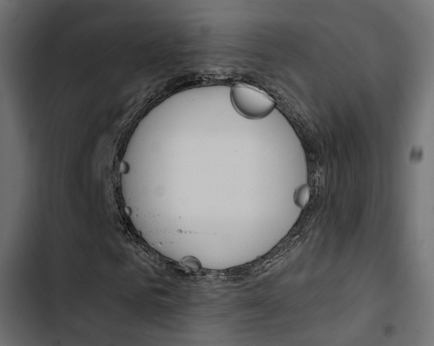 X0000103910961200809191115
