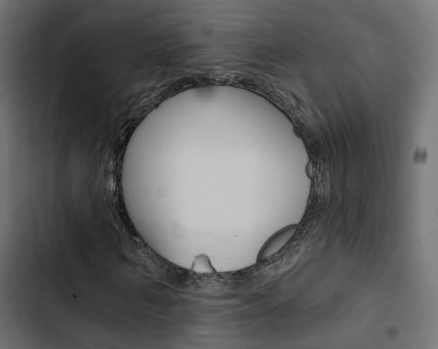 X0000103910962200809191115