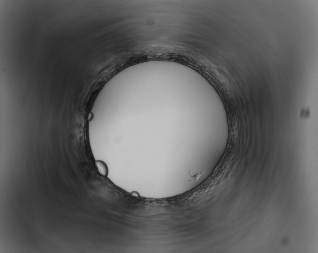 X0000103910964200809191115