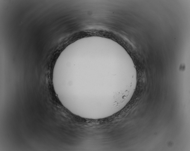 X0000103910965200809191115