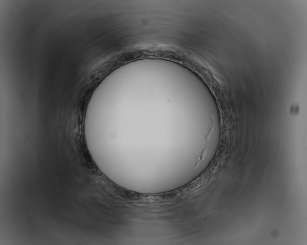 X0000103910966200809191115