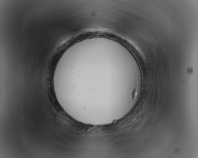 X0000103910967200809191115