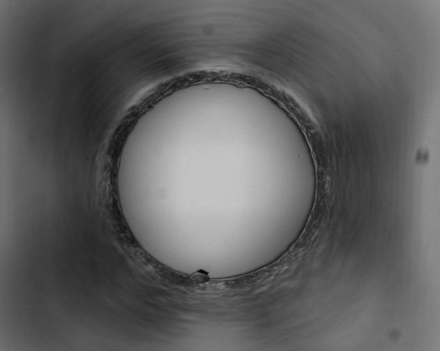 X0000103910968200809191115