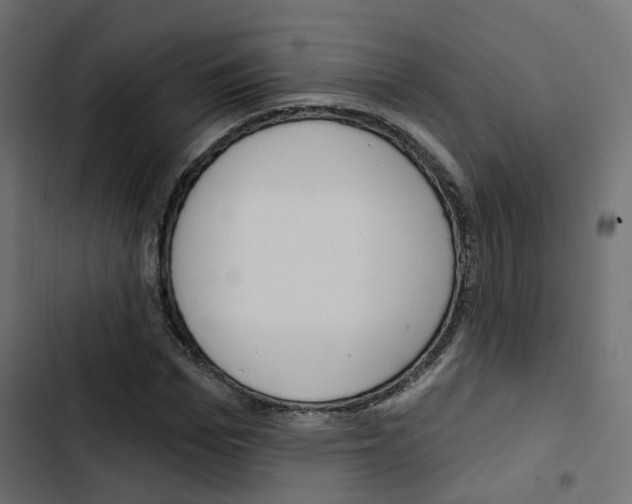 X0000103910969200809191115