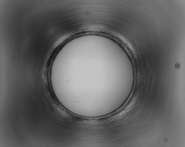 X0000103910970200809191115