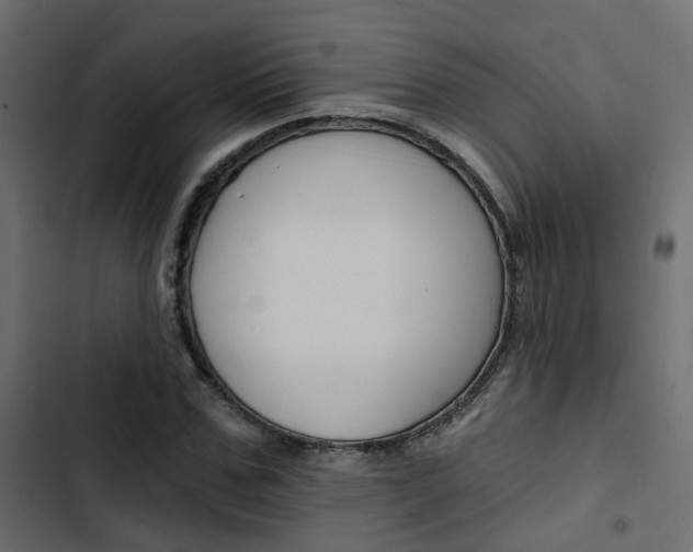 X0000103910971200809191115