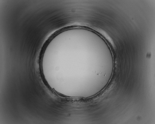 X0000103910972200809191115