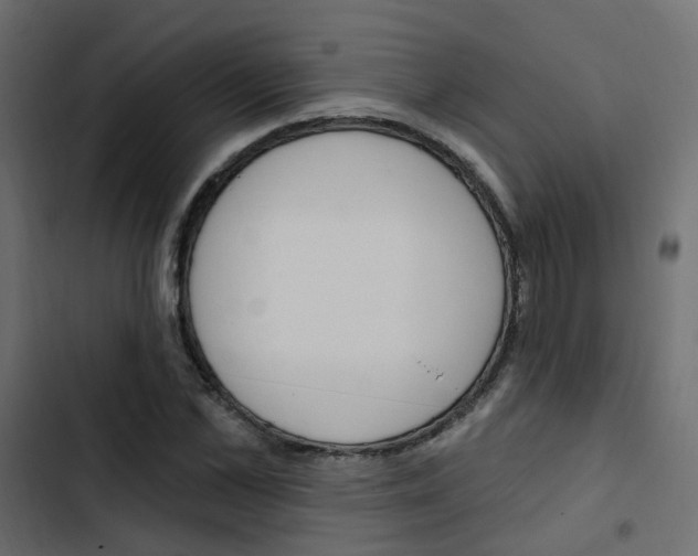 X0000103910973200809191115