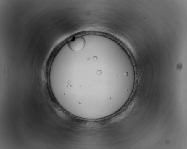 X0000103910974200809191115