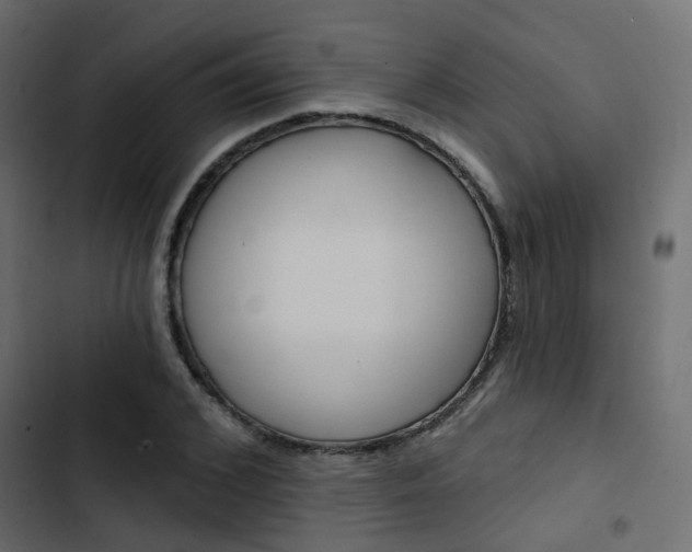 X0000103910976200809191115