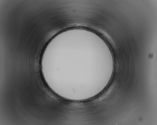 X0000103910977200809191115