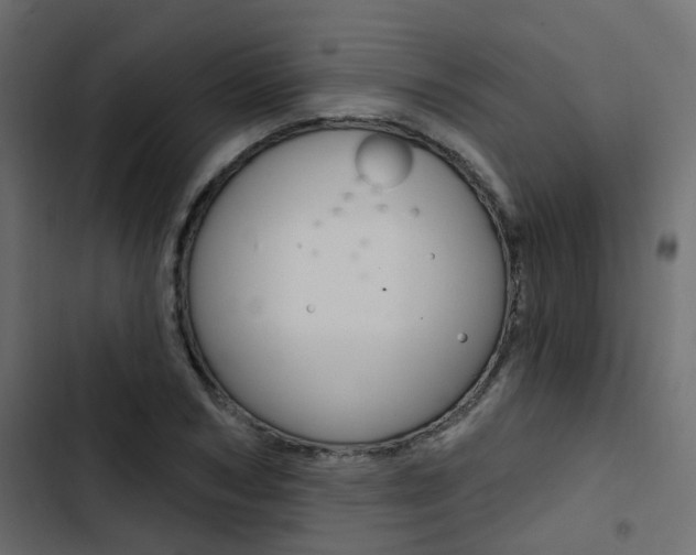 X0000103910978200809191115