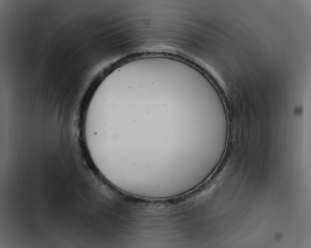 X0000103910979200809191115