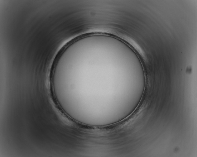 X0000103910980200809191115