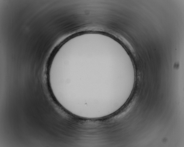X0000103910981200809191115
