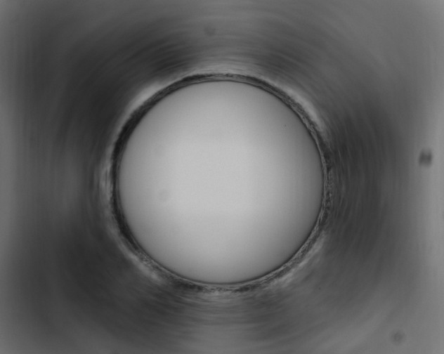 X0000103910982200809191115