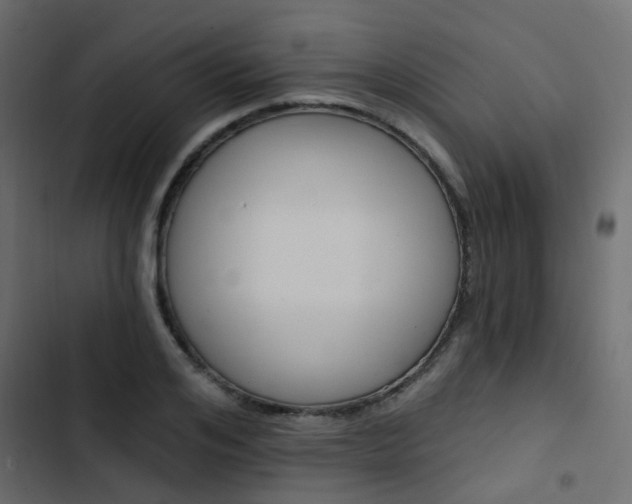 X0000103910984200809191115