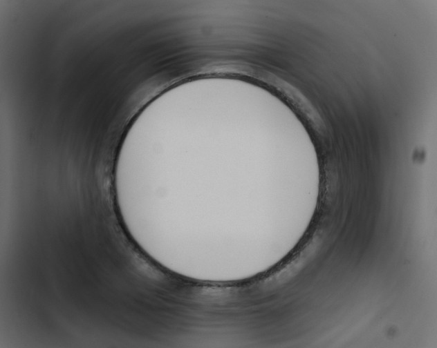 X0000103910985200809191115