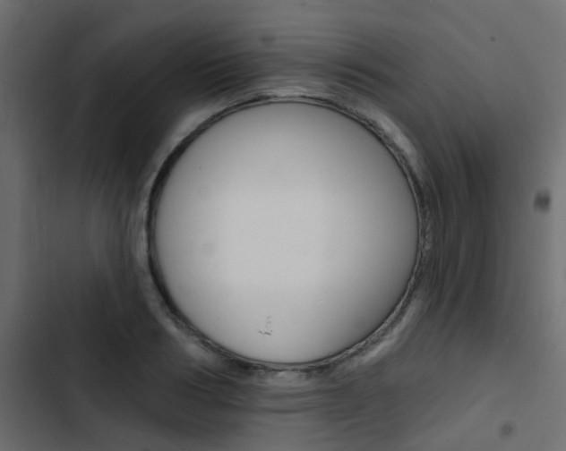 X0000103910986200809191115