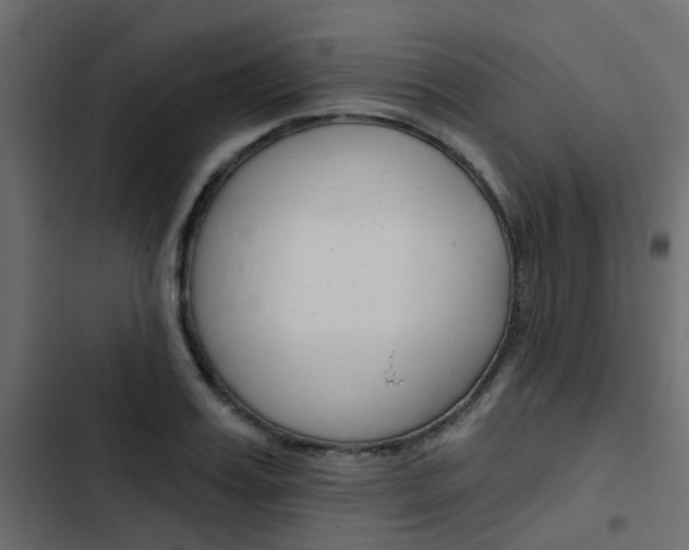 X0000103910987200809191115