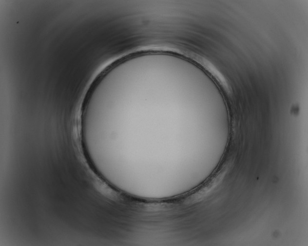 X0000103910988200809191115