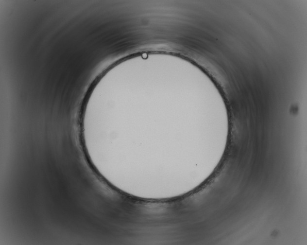 X0000103910989200809191115