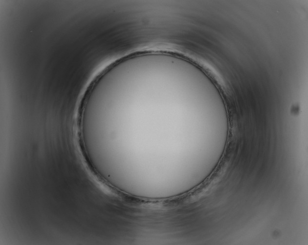 X0000103910990200809191115