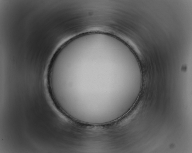 X0000103910991200809191115