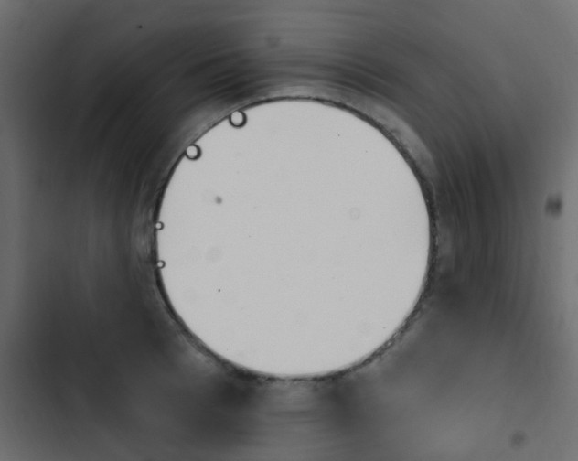 X0000103910993200809191115