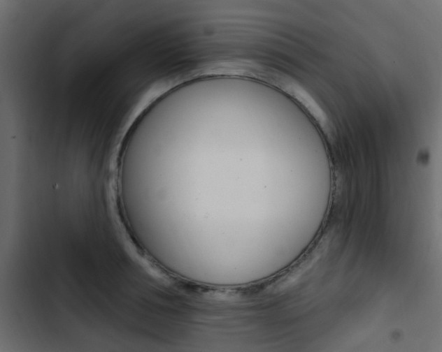 X0000103910994200809191115