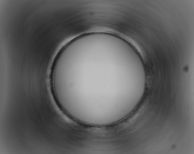 X0000103910995200809191115