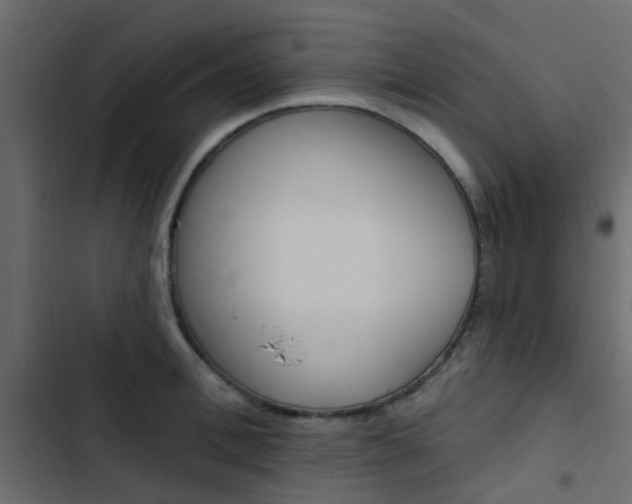X0000103910996200809191115