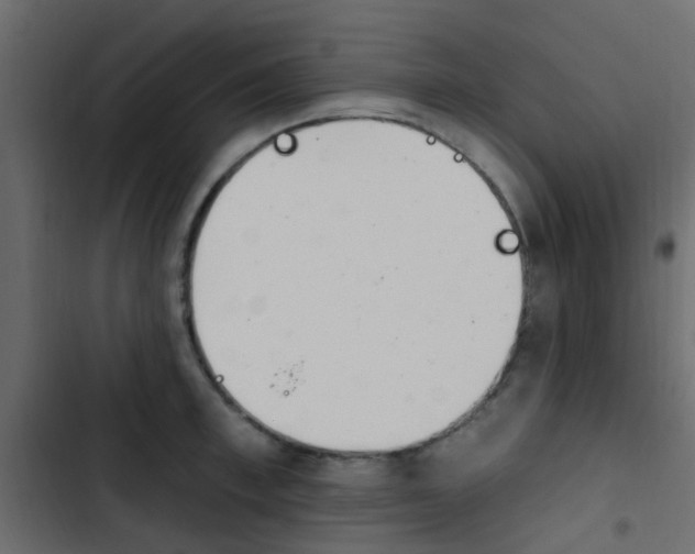 X0000103910997200809191115