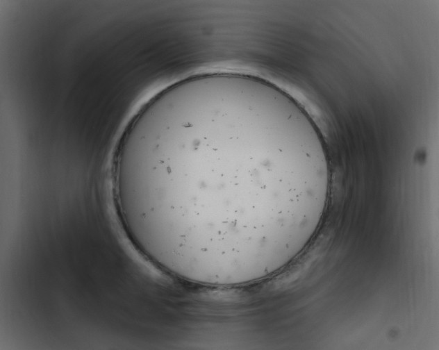 X0000103910998200809191115