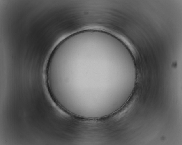 X0000103910999200809191115