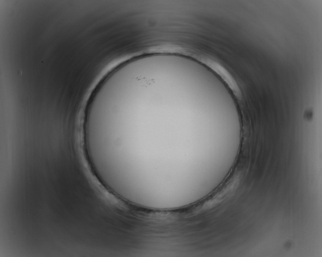 X0000103911000200809191115