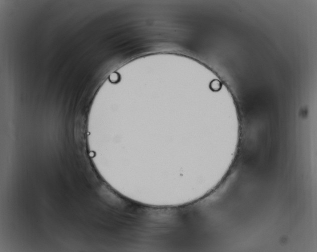 X0000103911001200809191115
