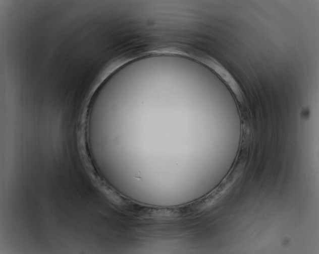 X0000103911002200809191115