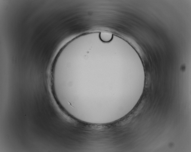 X0000103911003200809191115