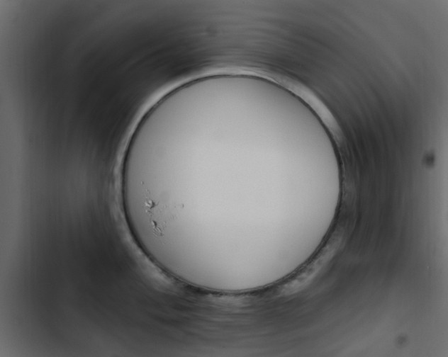 X0000103911004200809191115