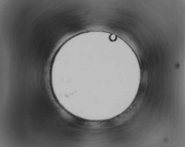 X0000103911005200809191115